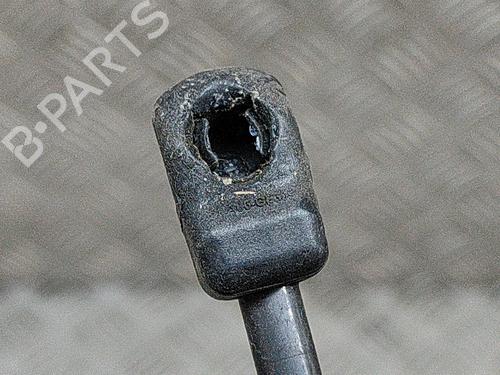 Hood lift support VW TOUAREG (7P5, 7P6) 3.0 V6 TDI | BP21486773C139 