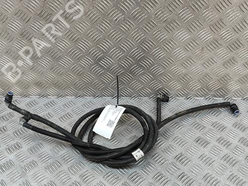 Used Pipe BMW 4 Coupe (F32, F82) 435 i (306 hp) 24820200