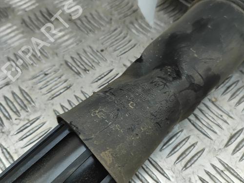 Left rear shock absorber AUDI Q4 E-TRON SUV (F4B) 40 | BP32119372M18