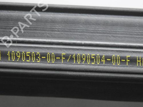 Dørliste TESLA MODEL 3 (5YJ3) EV AWD | BP27748397C150  - Image 6