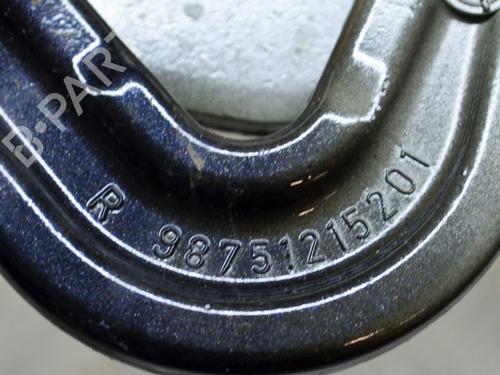 Hinge/Door check strap PORSCHE CAYMAN (987) S 3.4 | BP14632438C146 