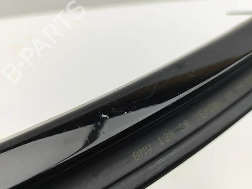 Door moulding trim BMW iX (I20) xDrive 40 | BP28560151C150 