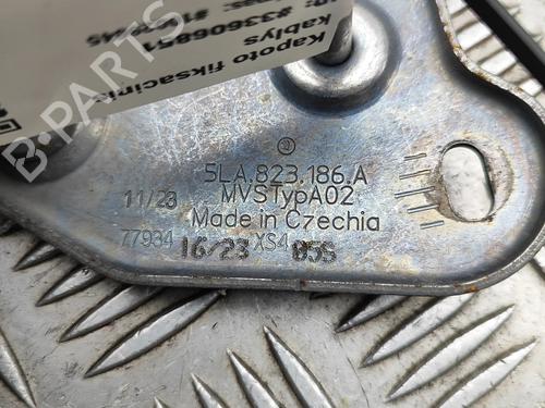 Exterior handle SKODA ENYAQ iV SUV (5AZ) 80 | BP31810257C122 