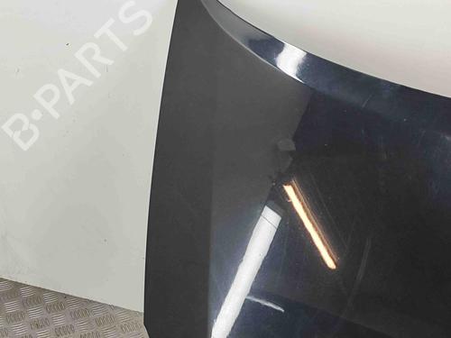 Hood LEXUS CT (ZWA10_) 200h (ZWA10_) | BP29637515C1 