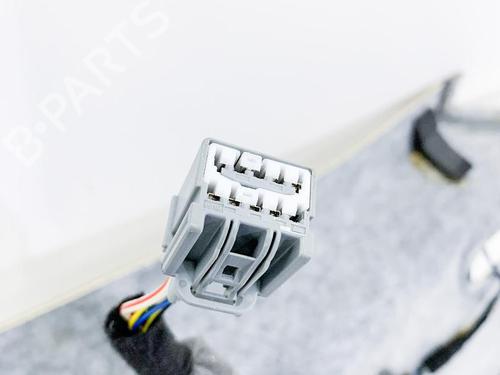Interiør tag LAND ROVER RANGE ROVER EVOQUE (L538) 2.2 D 4x4 | BP14658662I12