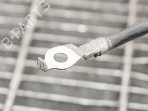 Hinge/Door check strap BMW 3 (E90) 318 i | BP14607581C146 
