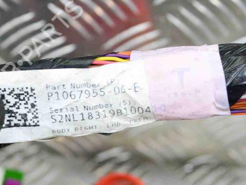 Wiring harness TESLA MODEL 3 (5YJ3) EV AWD | BP27750616E16