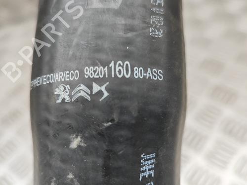 Pipe PEUGEOT 508 II (FB_, FH_, F3_) Hybrid 225 (F35GQU) | BP29975420M125