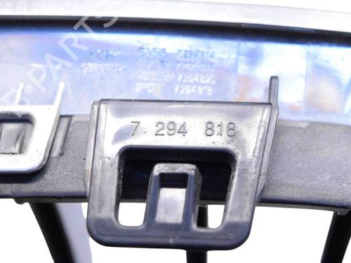 Grille FORD USA MUSTANG Coupe 5.0 302 | BP30256419C40 