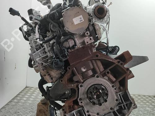 Engine FORD TRANSIT V363 Platform/Chassis (FED, FFD) 2.0 EcoBlue | BP33731841M1 - Image 3