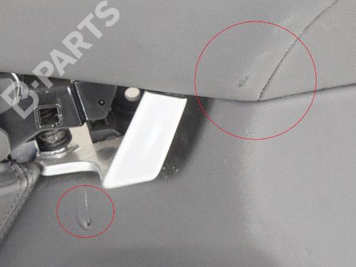 Front left panel TESLA MODEL X (5YJX) P100D AWD | BP7797421C58 