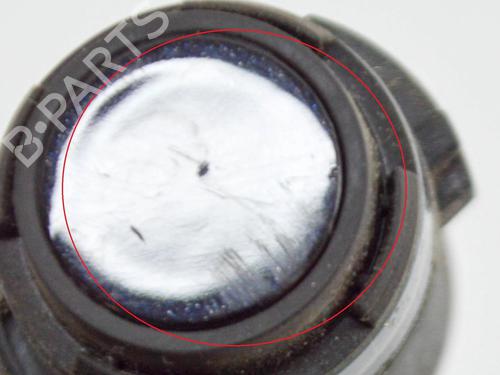 Electronic module PORSCHE CAYENNE (92A) 3.0 Diesel | BP15481319M83 