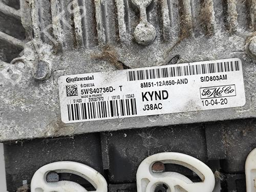 Engine control unit (ECU) FORD FOCUS II Convertible 2.0 TDCi | BP24975964M57