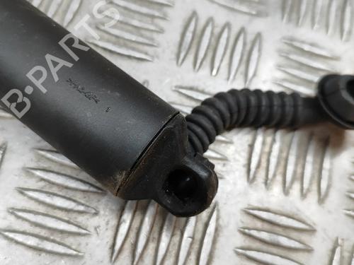 Tailgate lift support AUDI Q5 (FYB, FYG) 40 TDI Mild Hybrid quattro | BP27785131C138 