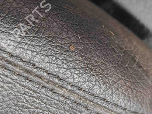 Front right panel MERCEDES-BENZ S-CLASS (W221, V221) S 350 BlueTec (221.026, 221.126) | BP29404700C59  - Image 6