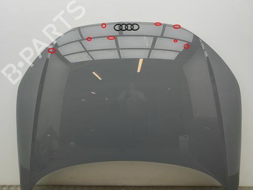 Motorhjelm Motorhjelm AUDI TT (FV3, FVP) 2.5 RS TFSI quattro (400 hp) 34248744 34248744