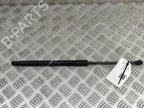 tailgate-lift-support-fiat-500-312_-2007-33373246 main image