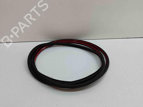 Used Rubber door seal AUDI Q5 (8RB) 2.0 TDI quattro (177 hp) 29058370