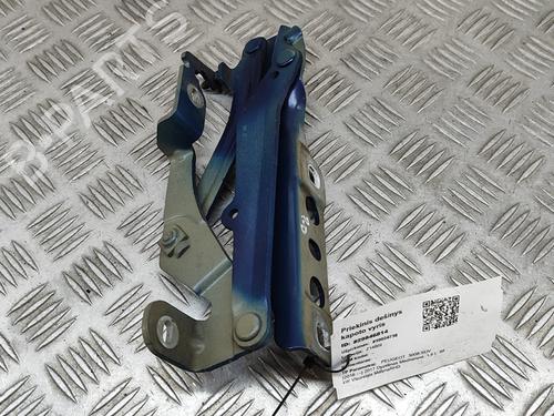 Hinge/Door check strap PEUGEOT 3008 II SUV (MC_, MR_, MJ_, M4_) 1.6 BlueHDi 120 | BP25218927C146