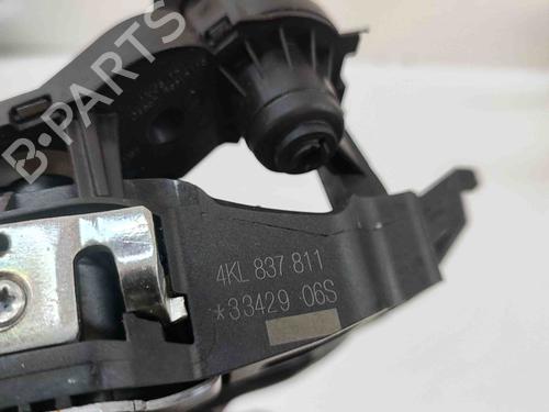 Front left exterior door handle AUDI E-TRON (GEN) 55 quattro | BP29404569C128 