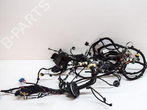 Cableado eléctrico RENAULT ZOE (BFM_) ZOE (88 hp) 14619923