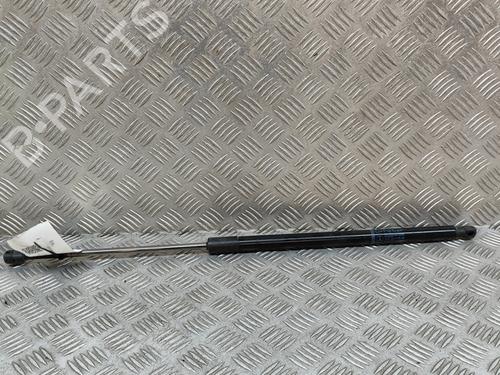 Tailgate lift support MERCEDES-BENZ VITO Van (W447) 111 CDI (447.601, 447.603, 447.605) | BP21187835C138