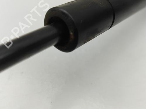 Hood lift support LAND ROVER RANGE ROVER EVOQUE (L538) 2.0 D 4x4 | BP28434345C139 