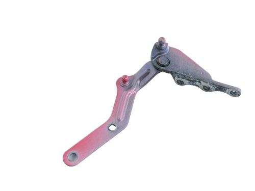 Hinge/Door check strap TESLA MODEL X (5YJX) P100D AWD | BP30251871C146