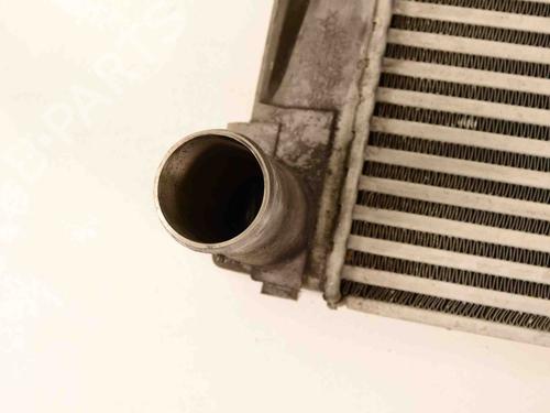 Ladeluftkühler LAND ROVER RANGE ROVER III (L322) 3.6 D 4x4 | BP30209461M30