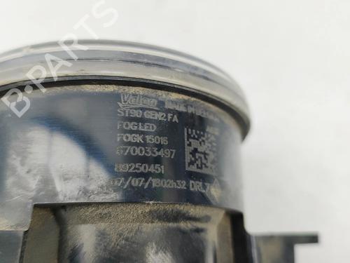 Left front fog light MASERATI LEVANTE SUV (M161) 3.0 D Q4 | BP31859383C30 