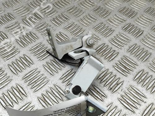 Hinge/Door check strap VW GOLF VIII (CD1, DA1) 2.0 TSI R 4motion | BP30005112C146