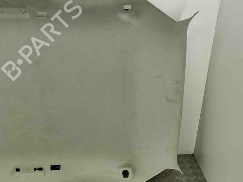 Interior roof JAGUAR F-PACE (X761) 2.0 TD4 | BP29829705I12
