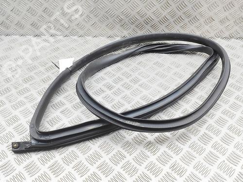 Gummiliste TESLA MODEL 3 (5YJ3) EV | BP38515830C142 - Image 3