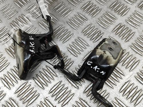 hingedoor-check-strap-kia-optima-fsgds6b-2010-2011-2012-2013-2014-2015-2016-2017-23415348 main image