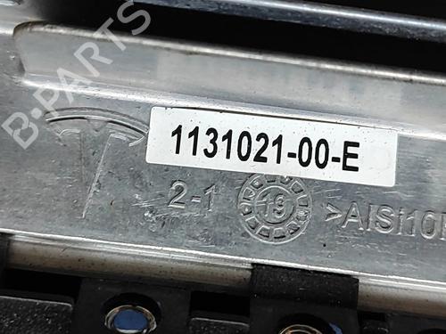 Electronic module TESLA MODEL X (5YJX) P100D AWD | BP25218008M83