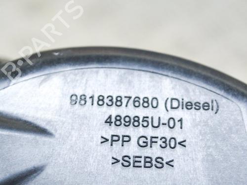 Fuel flap PEUGEOT 2008 I (CU_) 1.2 VTi | BP29042235C131