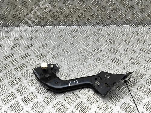 Used Hinge/Door check strap MAN TGE Van 2.0 TDI (01V, 03V, 36V, UYB, UYC, UYD) (140 hp) 31976963