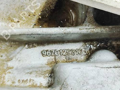 Gearbox FIAT DUCATO Van (250_) 130 Multijet 2,3 D | BP31902762M3 