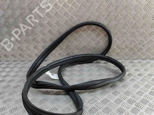Rubber door seal FIAT 500 (312_) 1.0 Mild Hybrid (312.AYD1B) | BP29392316C142 