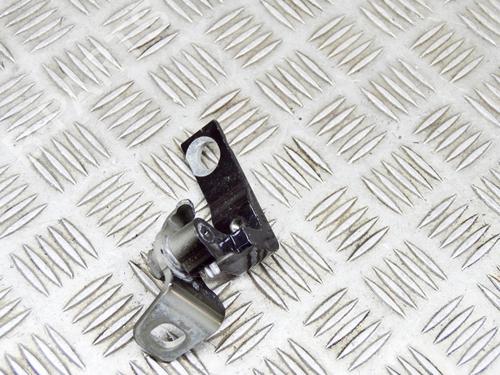 Hinge/Door check strap FORD FIESTA VII (HJ, HF) 1.0 EcoBoost | BP14646544C146