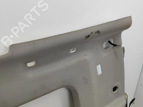 Interiør taket NISSAN ARIYA (FE0) EV e-4ORCE | BP29336828I12