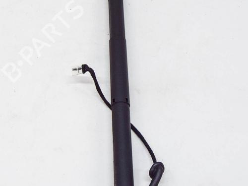 Tailgate lift support BMW X5 (F15, F85) xDrive 30 d | BP14621073C138 