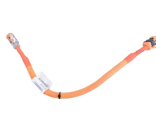 Used Wiring harness POLESTAR POLESTAR 2 (534) EV (408 hp) 30253004