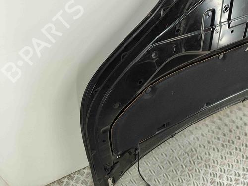 Hood LEXUS NX (_Z1_) 300h AWD (AYZ15, AYZ15_, AYZ15R) | BP28028611C1 