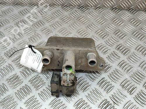 Electronic module TESLA MODEL X (5YJX) P100D AWD | BP19256038M83