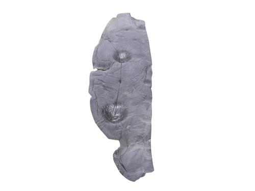 Andre TESLA MODEL X (5YJX) P100D AWD | BP30256271O1