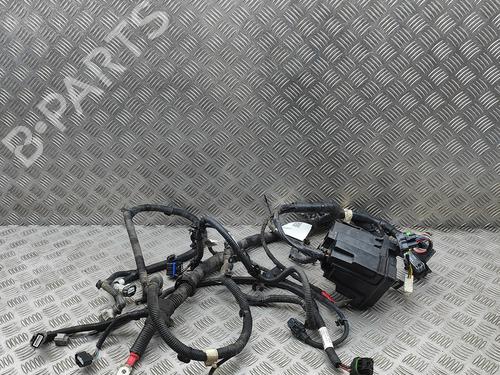 Ledningsnet Ledningsnet RENAULT ZOE (BFM_) ZOE (BFMD) (109 hp) 34282559 34282559