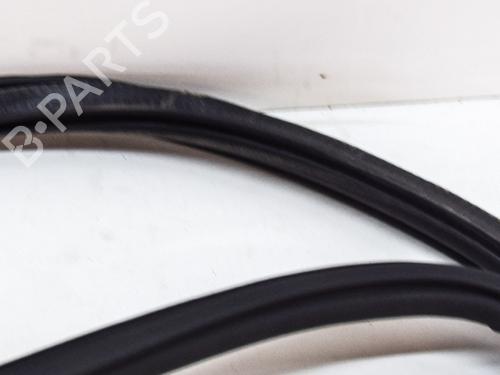 Rubber door seal AUDI Q5 (FYB, FYG) 2.0 TFSI quattro | BP14616586C142 