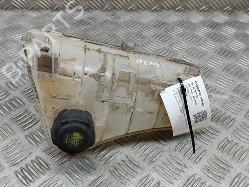 Expansion tank RENAULT KANGOO Express (FW0/1_) 1.5 dCi 90 (FW0G, FW05, FW08, FW11) | BP16140786C120 