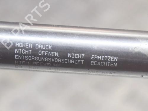 Hood lift support VW PHAETON (3D1, 3D2, 3D3, 3D4, 3D6, 3D7, 3D8, 3D9) 4.2 V8 4motion | BP14621910C139